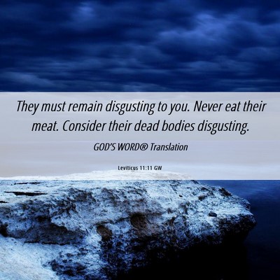 Picture 06 - Leviticus 11:11 GW - They must remain disgusting to you. Never eat - Bible Verse Picture