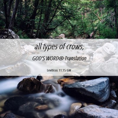 Picture 06 - Leviticus 11:15 GW - all types of - Bible Verse Picture