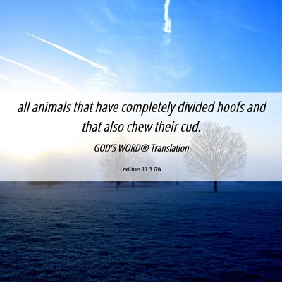 Picture 06 - Leviticus 11:3 GW - all animals that have completely divided hoofs - Bible Verse Picture
