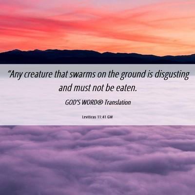 Picture 06 - Leviticus 11:41 GW - “Any creature that swarms on the ground is - Bible Verse Picture