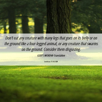 Picture 06 - Leviticus 11:42 GW - Don’t eat any creature with many legs that goes - Bible Verse Picture