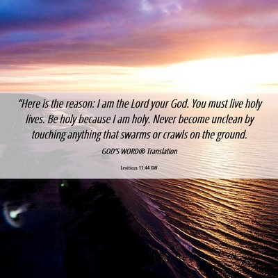 Picture 06 - Leviticus 11:44 GW - “Here is the reason: I am the Lord your God. - Bible Verse Picture