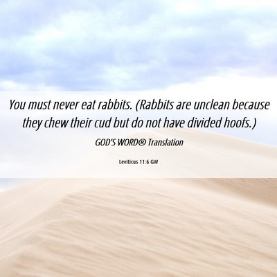 Picture 06 - Leviticus 11:6 GW - You must never eat rabbits. (Rabbits are unclean - Bible Verse Picture