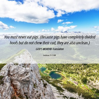 Picture 06 - Leviticus 11:7 GW - You must never eat pigs. (Because pigs have - Bible Verse Picture