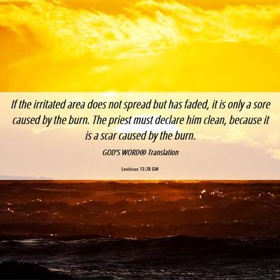 Picture 06 - Leviticus 13:28 GW - If the irritated area does not spread but has - Bible Verse Picture