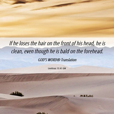 Picture 06 - Leviticus 13:41 GW - If he loses the hair on the front of his head, he - Bible Verse Picture