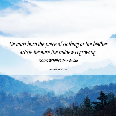 Picture 06 - Leviticus 13:52 GW - He must burn the piece of clothing or the leather - Bible Verse Picture