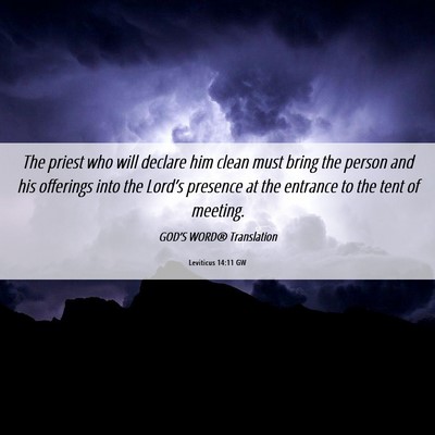 Picture 06 - Leviticus 14:11 GW - The priest who will declare him clean must bring - Bible Verse Picture