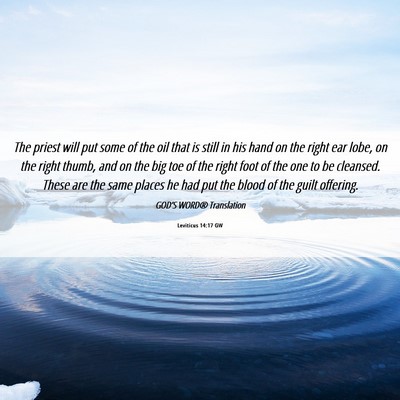 Picture 06 - Leviticus 14:17 GW - The priest will put some of the oil that is still - Bible Verse Picture