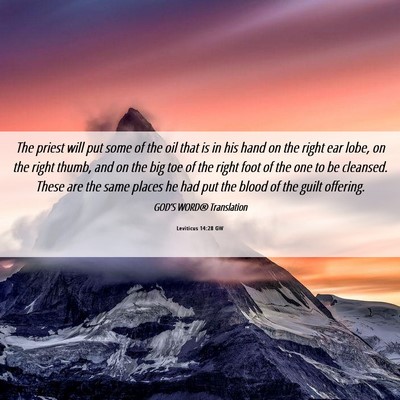 Picture 06 - Leviticus 14:28 GW - The priest will put some of the oil that is in - Bible Verse Picture