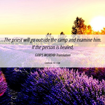 Picture 06 - Leviticus 14:3 GW - The priest will go outside the camp and examine - Bible Verse Picture