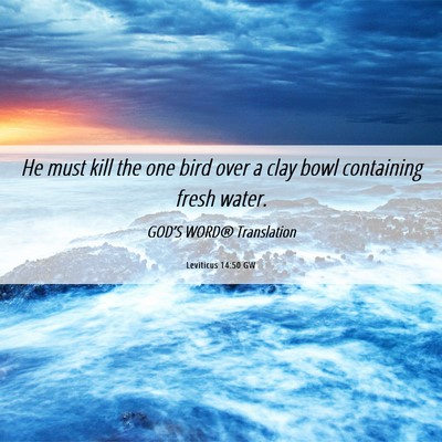 Picture 06 - Leviticus 14:50 GW - He must kill the one bird over a clay bowl - Bible Verse Picture