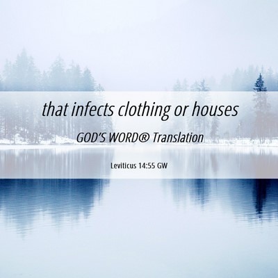 Picture 06 - Leviticus 14:55 GW - that infects clothing or - Bible Verse Picture