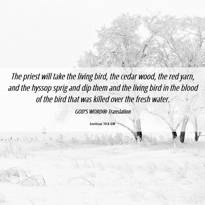 Picture 06 - Leviticus 14:6 GW - The priest will take the living bird, the cedar - Bible Verse Picture