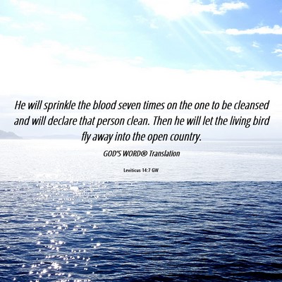 Picture 06 - Leviticus 14:7 GW - He will sprinkle the blood seven times on the one - Bible Verse Picture