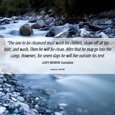 Picture 06 - Leviticus 14:8 GW - “The one to be cleansed must wash his clothes, - Bible Verse Picture