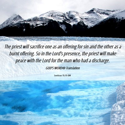 Picture 06 - Leviticus 15:15 GW - The priest will sacrifice one as an offering for - Bible Verse Picture