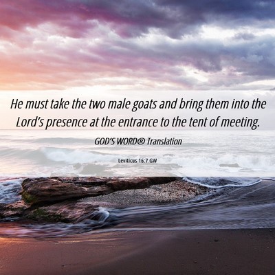 Picture 06 - Leviticus 16:7 GW - He must take the two male goats and bring them - Bible Verse Picture
