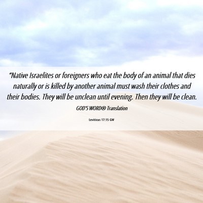Picture 06 - Leviticus 17:15 GW - “Native Israelites or foreigners who eat the - Bible Verse Picture