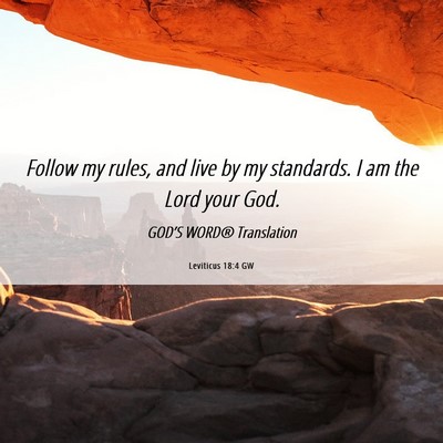 Picture 06 - Leviticus 18:4 GW - Follow my rules, and live by my standards. I am - Bible Verse Picture