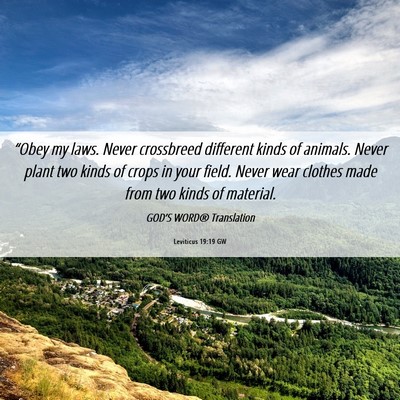 Picture 06 - Leviticus 19:19 GW - “Obey my laws. Never crossbreed different kinds - Bible Verse Picture
