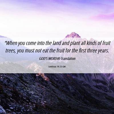 Picture 06 - Leviticus 19:23 GW - “When you come into the land and plant all - Bible Verse Picture