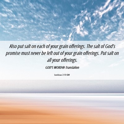 Picture 06 - Leviticus 2:13 GW - Also put salt on each of your grain offerings. - Bible Verse Picture