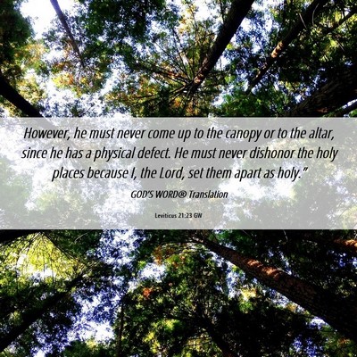 Picture 06 - Leviticus 21:23 GW - However, he must never come up to the canopy or - Bible Verse Picture