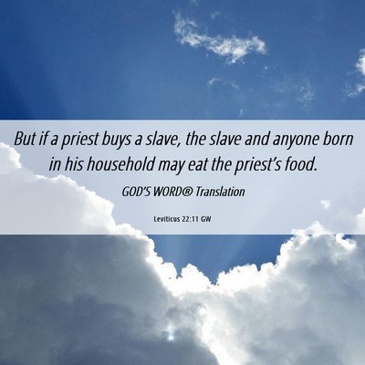 Picture 06 - Leviticus 22:11 GW - But if a priest buys a slave, the slave and - Bible Verse Picture