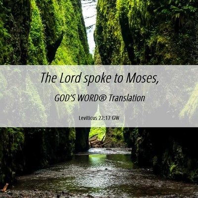 Picture 06 - Leviticus 22:17 GW - The Lord spoke to - Bible Verse Picture