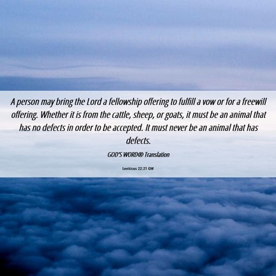 Picture 06 - Leviticus 22:21 GW - A person may bring the Lord a fellowship offering - Bible Verse Picture