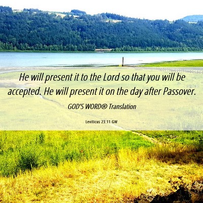 Picture 06 - Leviticus 23:11 GW - He will present it to the Lord so that you will - Bible Verse Picture