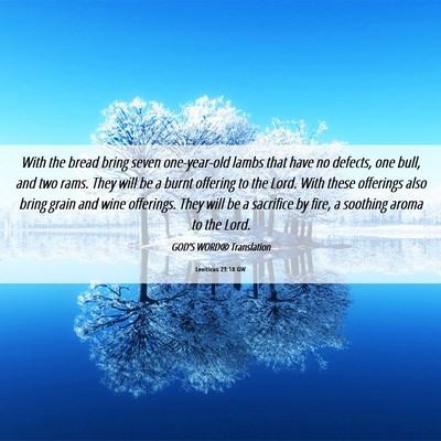 Picture 06 - Leviticus 23:18 GW - With the bread bring seven one-year-old lambs - Bible Verse Picture