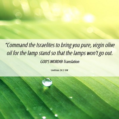 Picture 06 - Leviticus 24:2 GW - “Command the Israelites to bring you pure, - Bible Verse Picture
