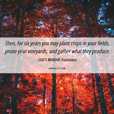 Picture 06 - Leviticus 25:3 GW - Then, for six years you may plant crops in your - Bible Verse Picture