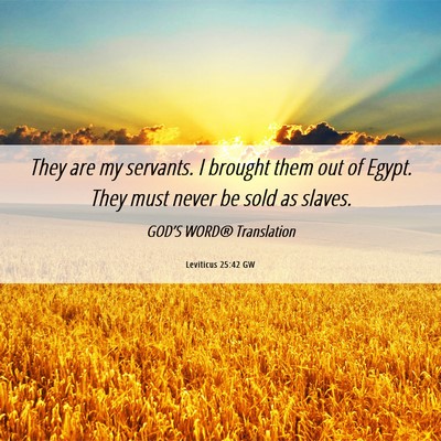 Picture 06 - Leviticus 25:42 GW - They are my servants. I brought them out of - Bible Verse Picture