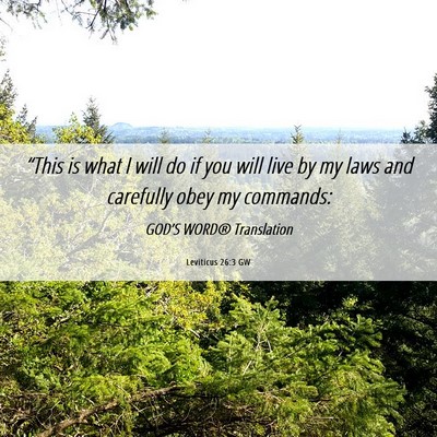 Picture 06 - Leviticus 26:3 GW - “This is what I will do if you will live by my - Bible Verse Picture