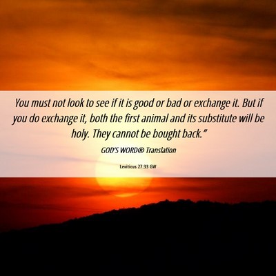Picture 06 - Leviticus 27:33 GW - You must not look to see if it is good or bad or - Bible Verse Picture