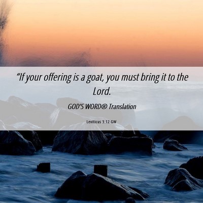 Picture 06 - Leviticus 3:12 GW - “If your offering is a goat, you must bring it - Bible Verse Picture