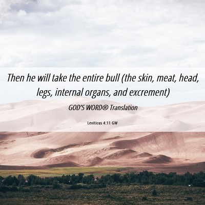Picture 06 - Leviticus 4:11 GW - Then he will take the entire bull (the skin, - Bible Verse Picture