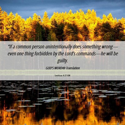 Picture 06 - Leviticus 4:27 GW - “If a common person unintentionally does - Bible Verse Picture