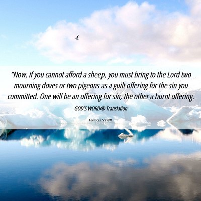 Picture 06 - Leviticus 5:7 GW - “Now, if you cannot afford a sheep, you must - Bible Verse Picture