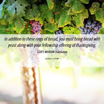 Picture 06 - Leviticus 7:13 GW - In addition to these rings of bread, you must - Bible Verse Picture