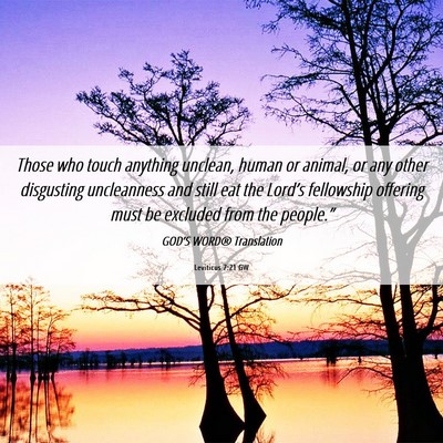 Picture 06 - Leviticus 7:21 GW - Those who touch anything unclean, human or - Bible Verse Picture