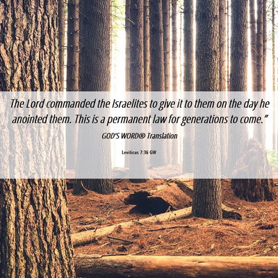 Picture 06 - Leviticus 7:36 GW - The Lord commanded the Israelites to give it to - Bible Verse Picture
