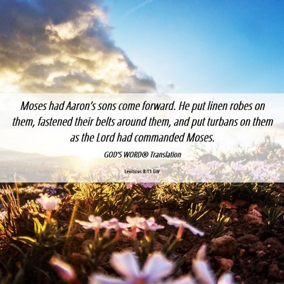 Picture 06 - Leviticus 8:13 GW - Moses had Aaron’s sons come forward. He put - Bible Verse Picture