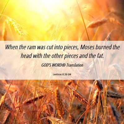 Picture 06 - Leviticus 8:20 GW - When the ram was cut into pieces, Moses burned - Bible Verse Picture