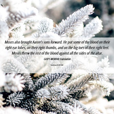 Picture 06 - Leviticus 8:24 GW - Moses also brought Aaron’s sons forward. He put - Bible Verse Picture