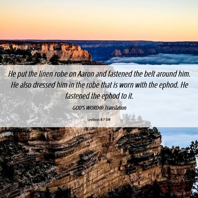 Picture 06 - Leviticus 8:7 GW - He put the linen robe on Aaron and fastened the - Bible Verse Picture