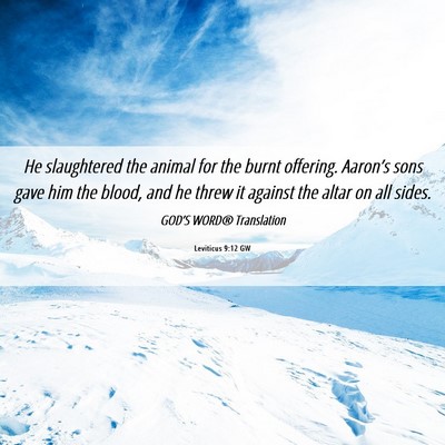 Picture 06 - Leviticus 9:12 GW - He slaughtered the animal for the burnt offering. - Bible Verse Picture